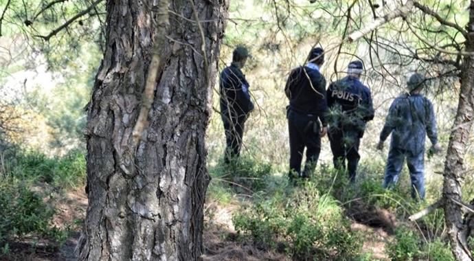 Ormanda 200 adet G3 mermisi bulundu Ormanda 200 adet G3 mermisi bulundu