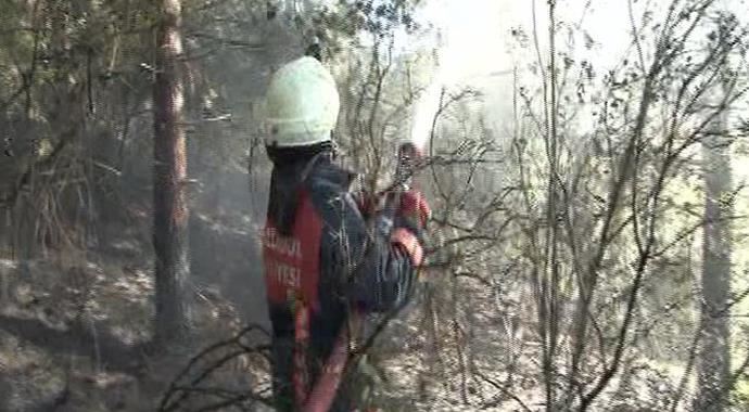 Beykoz'daki yangın söndürüldü Beykoz'daki yangın söndürüldü