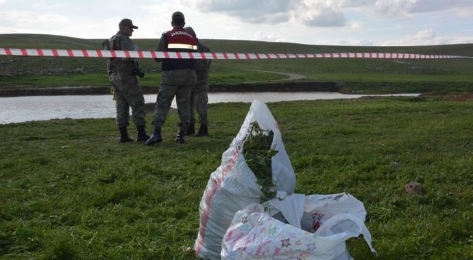 Ispanak topladığı derede boğuldu Ispanak topladığı derede boğuldu