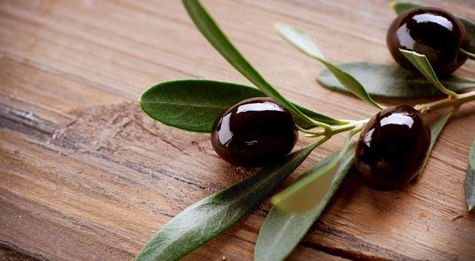 Ekonomiye milyarlık zeytin dopingi