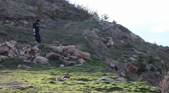 Ali Dağı'nda kaybolan şahsı arama çalışmaları devam ediyor