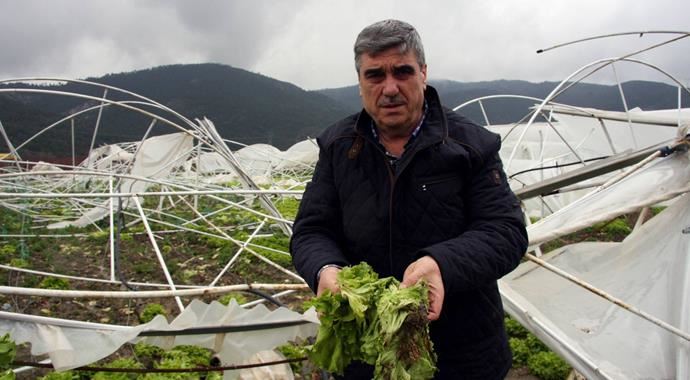 Bursa&#039;da don korkusu