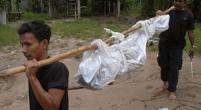 Tayland&#039;da 32 Arakanlı Müslüman ölü bulundu