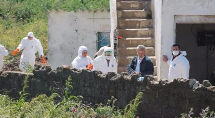 Bir yumurta tesisinde daha kuş gribi şoku! Bir yumurta tesisinde daha kuş gribi şoku!