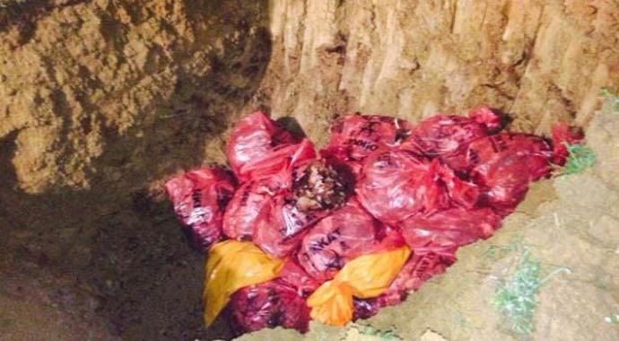 Gebze'de 10 bin tavuk itlaf edildi Gebze'de 10 bin tavuk itlaf edildi