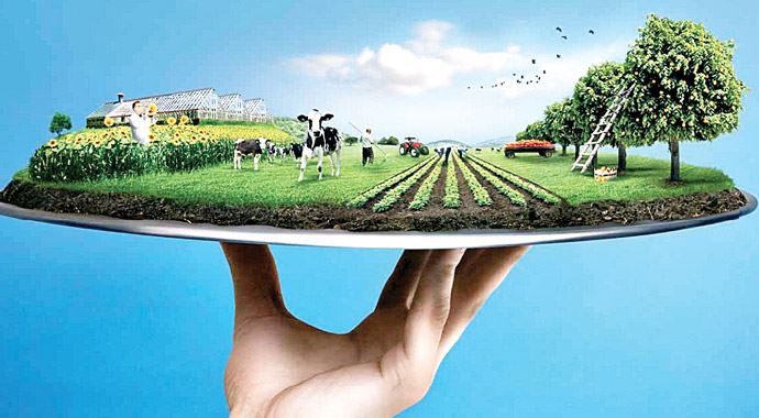 Tarımsal üretim 125 milyar TL'ye ulaştı Tarımsal üretim 125 milyar TL'ye ulaştı