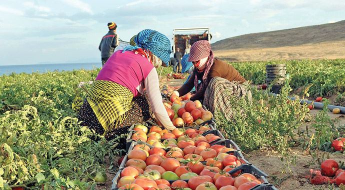 Güneş göründü fiyatlar düştü Güneş göründü fiyatlar düştü