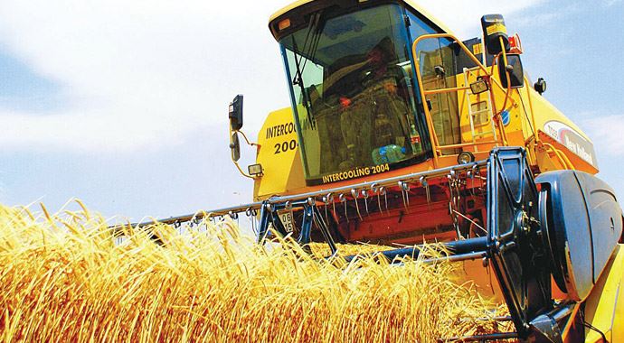 Buğdayda tarihî rekolte bekleniyor Buğdayda tarihî rekolte bekleniyor