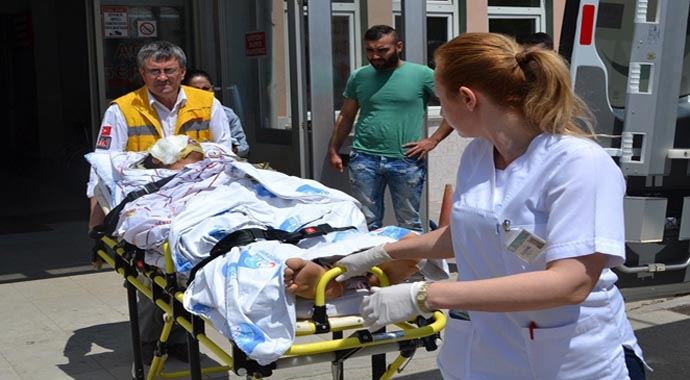 Asker yılanı yakmak istedi, bu hale geldi! Asker yılanı yakmak istedi, bu hale geldi!