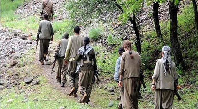 Şırnak'ta 9 terörist teslim oldu Şırnak'ta 9 terörist teslim oldu