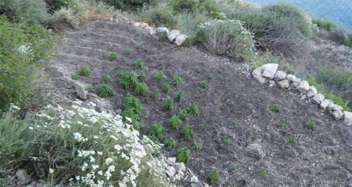 Uyuşturucu tacirlerine suçüstü Uyuşturucu tacirlerine suçüstü