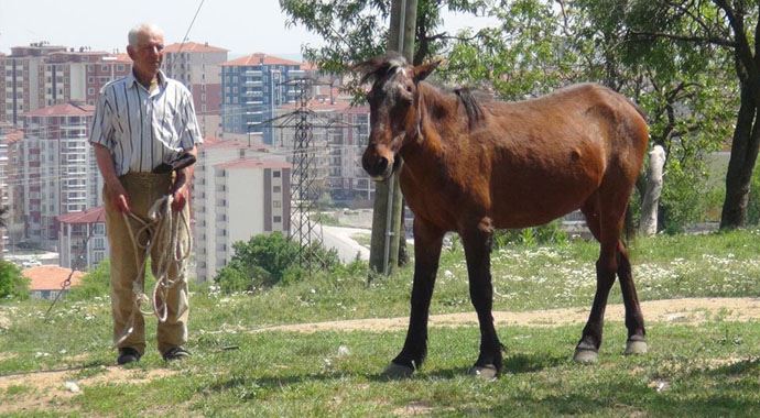 Edirne&#039;deki 5 bin lira maaşlı çoban işi bıraktı