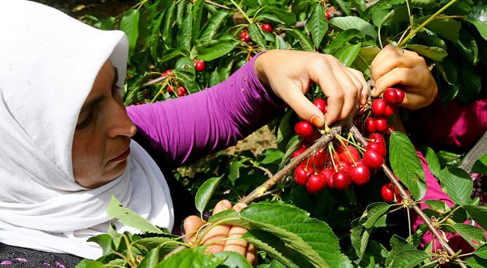 Ramazan'da gıdaya zam yapılmayacak Ramazan'da gıdaya zam yapılmayacak