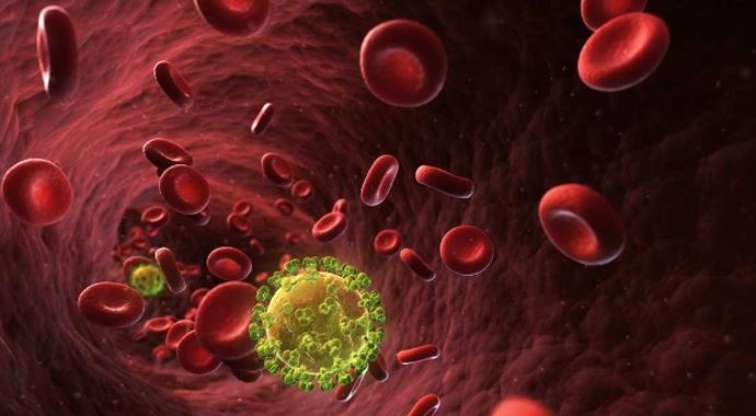 ABD'li profesör HIV'e çare buldu ABD'li profesör HIV'e çare buldu