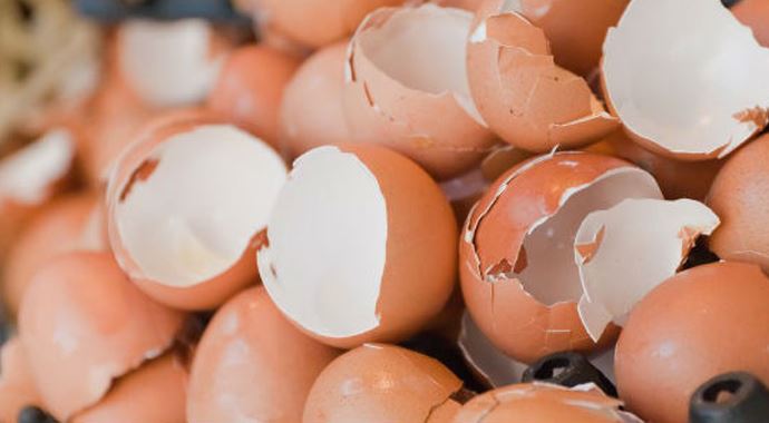 Kireçlenmeye doğal çözüm: Yumurta kabuğu Kireçlenmeye doğal çözüm: Yumurta kabuğu