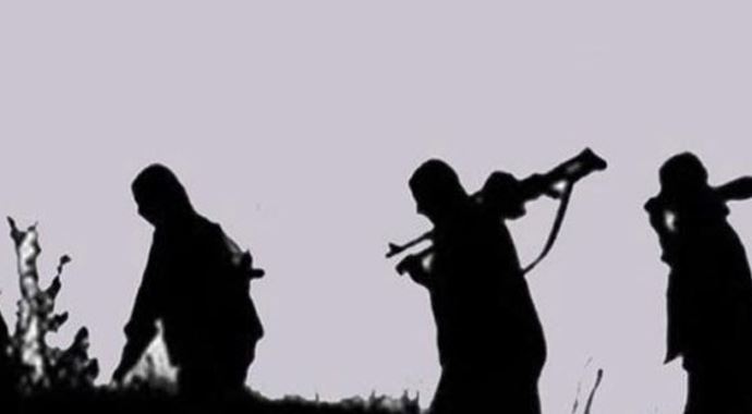 2 PKK'lı teslim oldu 2 PKK'lı teslim oldu