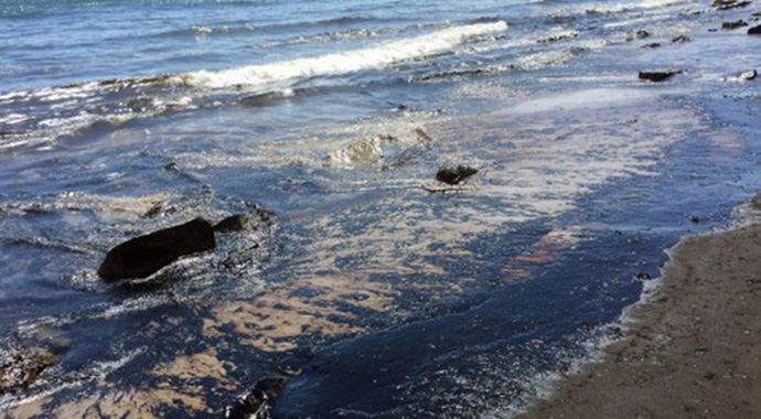 ABD'nin California'da eyaletinde 'acil durum' ABD'nin California'da eyaletinde 'acil durum'
