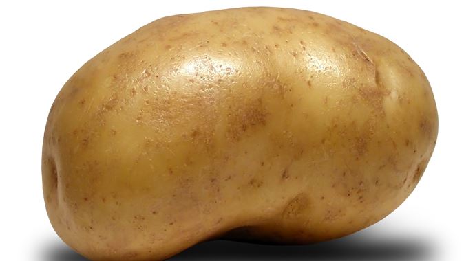 Patates fiyatlarından üreticiler de şikayetçi Patates fiyatlarından üreticiler de şikayetçi
