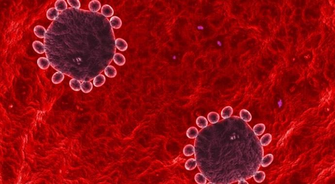 Katar'da MERS paniği!
