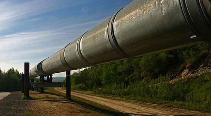 AB&#039;den Türkmen gazına tam destek