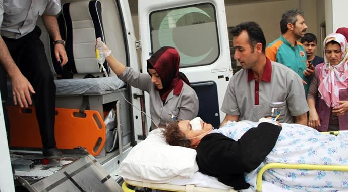 Van'da köpek dehşeti, 9 yaralı var!