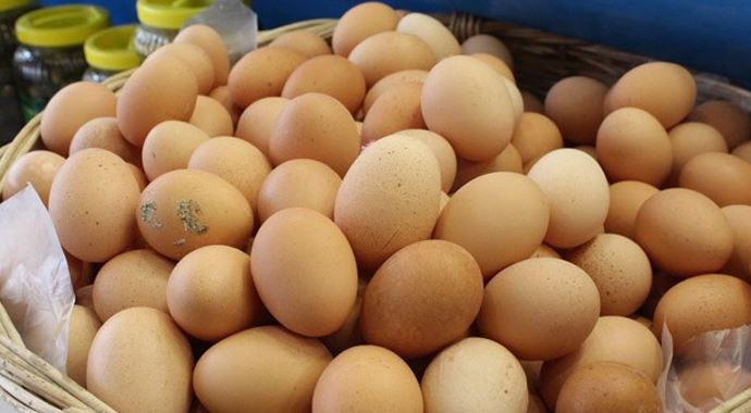 Yumurta üretimi düştü Yumurta üretimi düştü