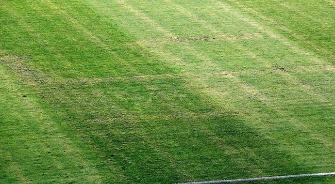 Milli maçta "gamalı haç" krizi Milli maçta "gamalı haç" krizi