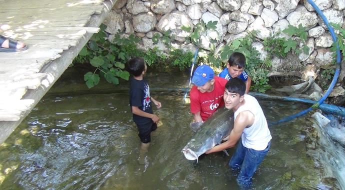 Zap Suyu'nda yakalandı, tam 60 kilo! Zap Suyu'nda yakalandı, tam 60 kilo!