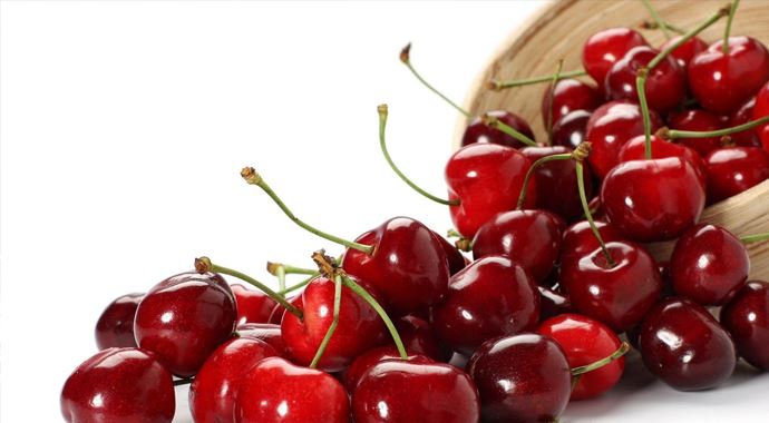 Kiraz üreticisi fiyattan memnun değil Kiraz üreticisi fiyattan memnun değil