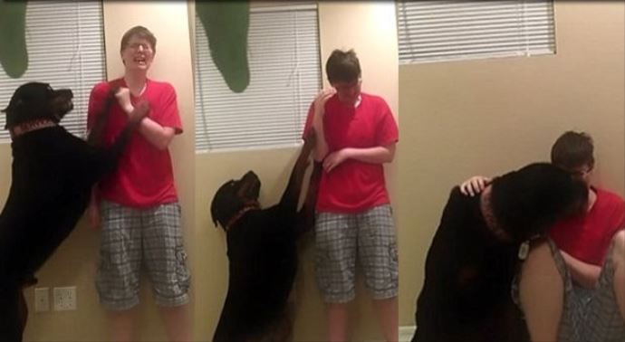 Köpeğin Asperger Sendromlu sahibini koruma mücadelesi