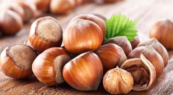 Türk fındığı Milano&#039;da tanıtılıyor