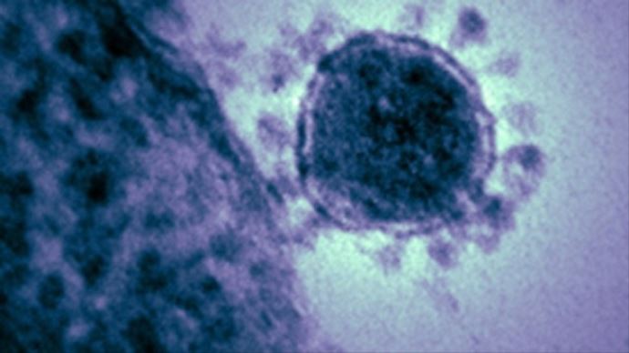 Tayland&#039;da ilk MERS vakası