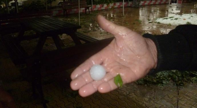 Haziran&#039;da yağan ceviz büyüklüğündeki dolu, tarlaları vurdu