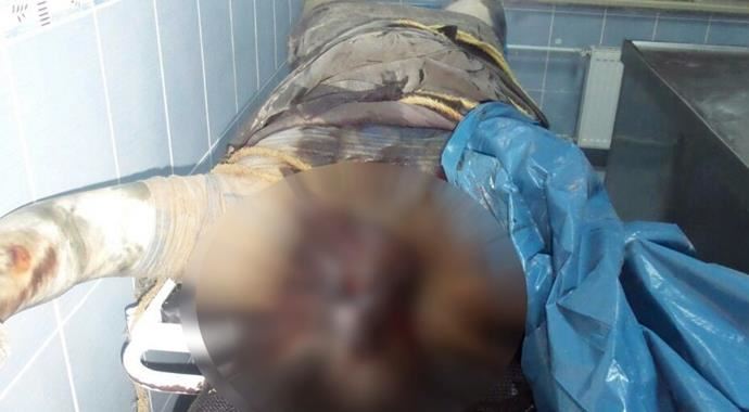 Şırnak&#039;ta erkek cesedi bulundu!