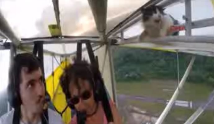 Uçağın kanadındaki davetsiz misafir