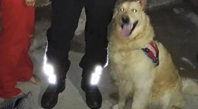 Kaybolan küçük kızı, köpek buldu