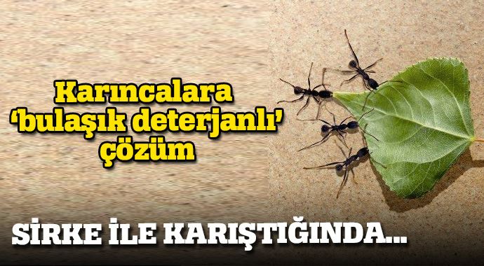 İşte bulaşık deterjanının bilmediğiniz faydaları İşte bulaşık deterjanının bilmediğiniz faydaları