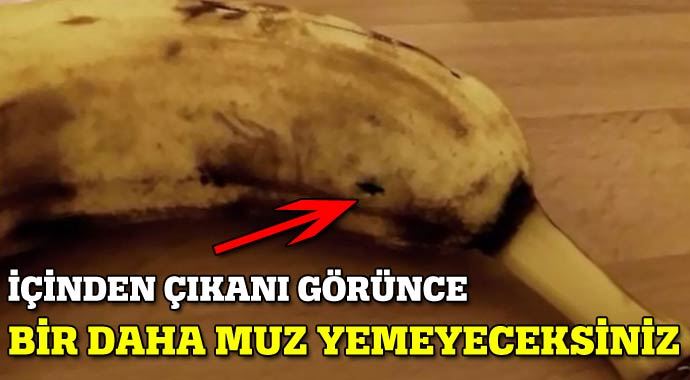 İçinden çıkanı görünce muz yemeyeceksiniz! İçinden çıkanı görünce muz yemeyeceksiniz!