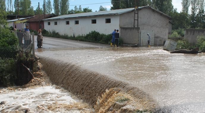 Ankara&#039;da dere yatağı taştı, onlarca hayvan telef oldu