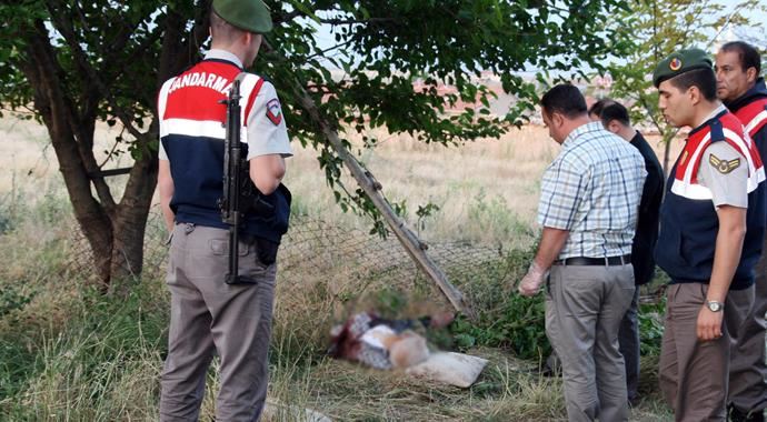 Dut ağacını budarken karınını keserek öldü!