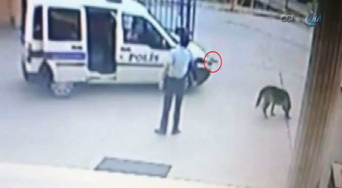 Köpek vuran komiser yardımcısı güvenlik kamerasında