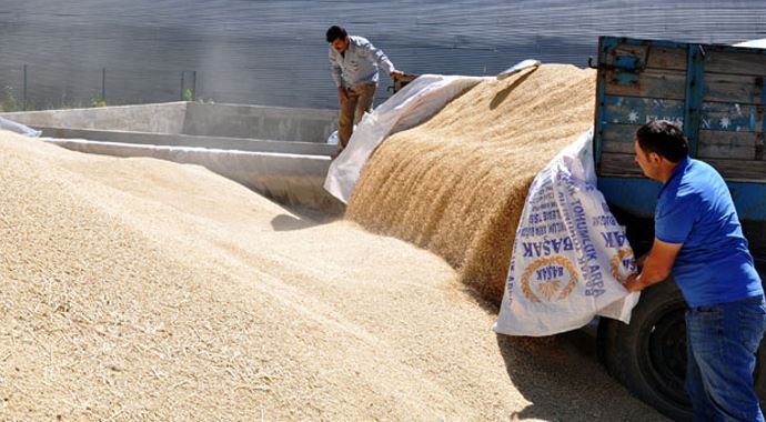 TMO, sezonun ilk ürününü aldı