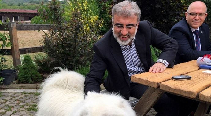 Bakan Yıldız'dan kedi yorumu Bakan Yıldız'dan kedi yorumu