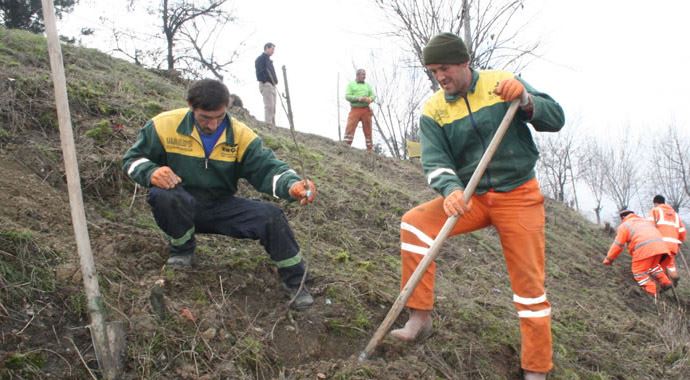Topraklar yağmurla gitmesin diye 5 milyon ceviz dikiliyor Topraklar yağmurla gitmesin diye 5 milyon ceviz dikiliyor