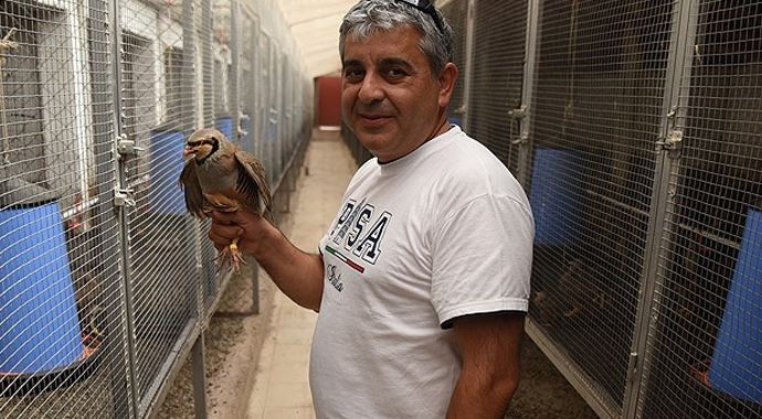 Hobi amaçlı beslediği keklikleri şimdi ihraç ediyor