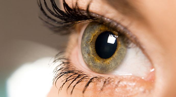 Göz sağlığı bilinçli beslenmeden geçiyor Göz sağlığı bilinçli beslenmeden geçiyor