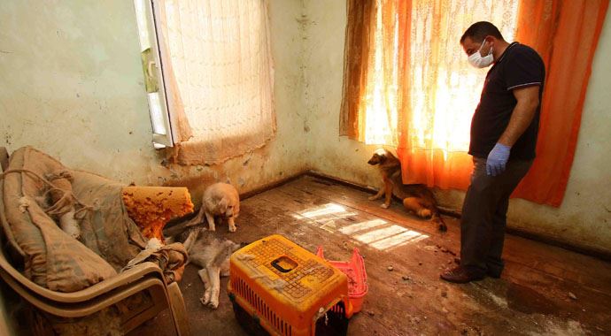 Mahkeme kararı ile girilen evden çıkan leşler şaşkına çevirdi
