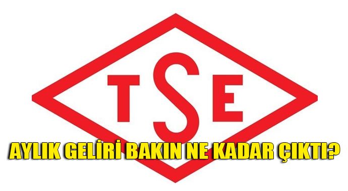 TSE 63 firmanın sözleşmesini feshetti TSE 63 firmanın sözleşmesini feshetti