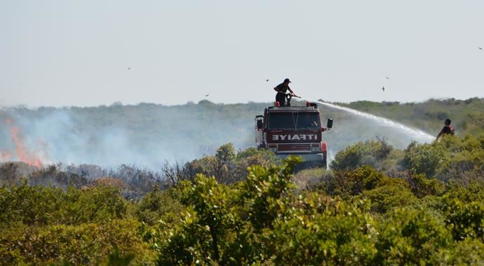 Didim'de korkutan yangın, sahile doğru ilerliyor! Didim'de korkutan yangın, sahile doğru ilerliyor!
