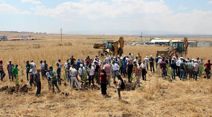 Diyarbakır'da HDP'li vekile taşlı saldırı Diyarbakır'da HDP'li vekile taşlı saldırı